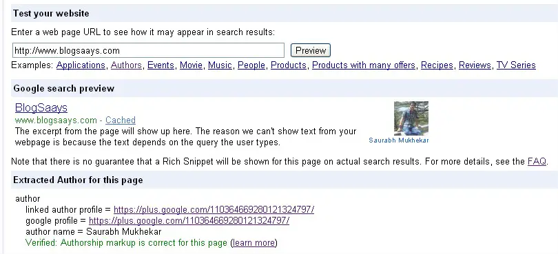 Rich Snippets Testing Tool  Owner