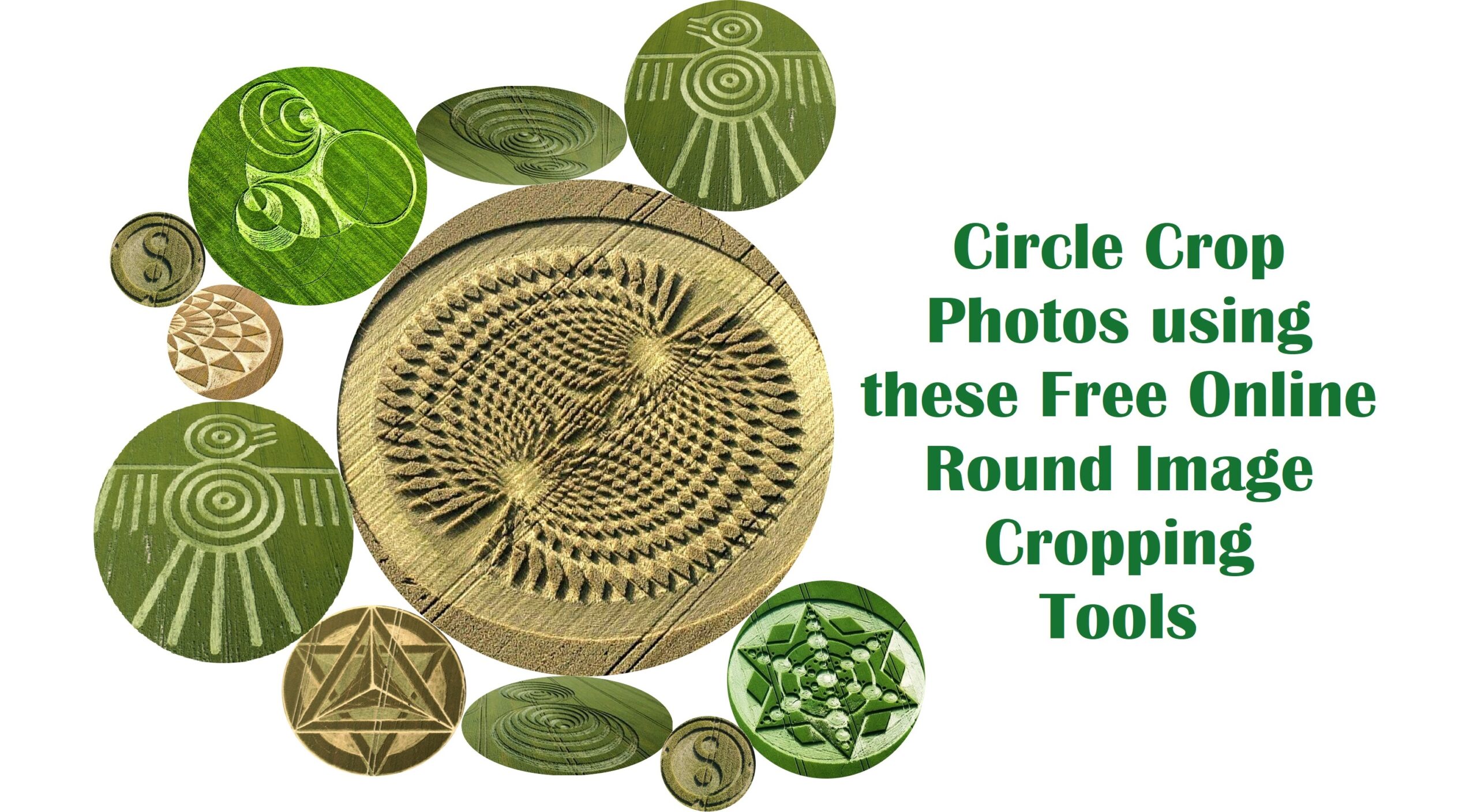circle crop photos using these free online round image cropping tools