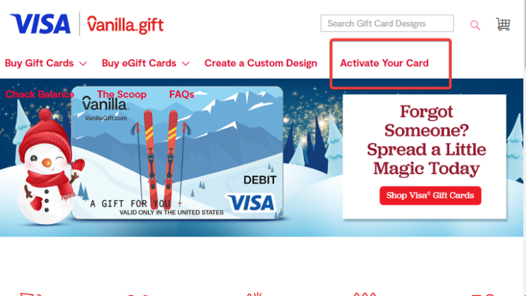 Vanilla Gift Card Balance System Error www.blogsaays.com
