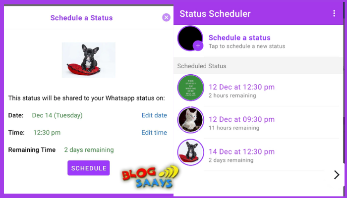 Best WhatsApp Status Scheduler for Android and Apple iOS