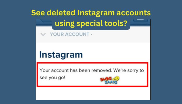 How To See Deleted Instagram Accounts Using Special Tools? - BlogSaays