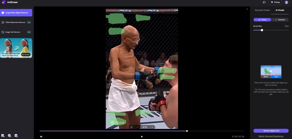 Free-Online-Watermark-Remover-AniEraser